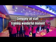 đội ngũ công ty