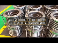 Lựa chọn khí cầu