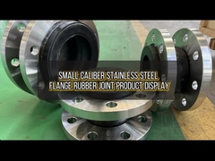 Khớp cao su của miếng lót thép không gỉ